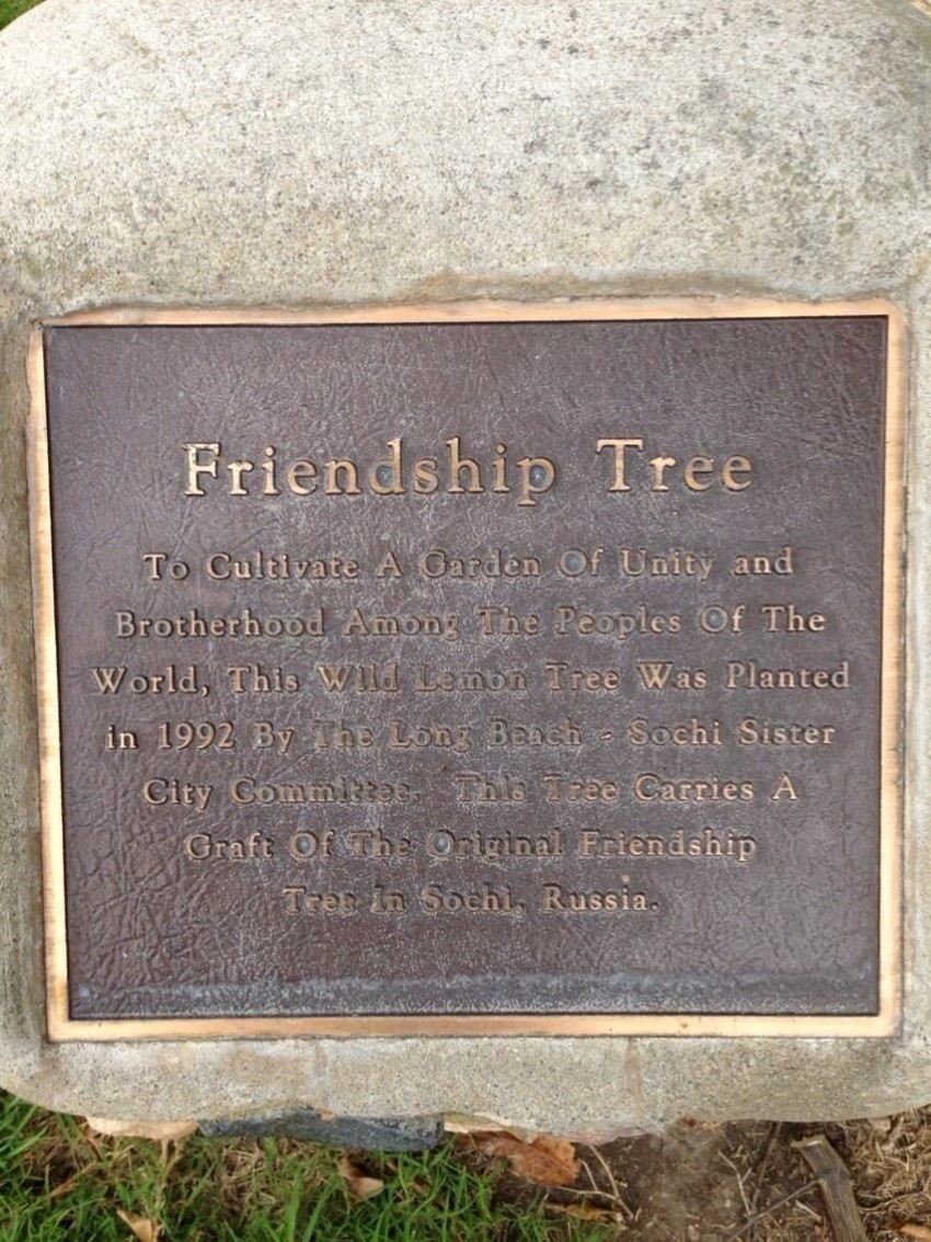 дерево дружбы