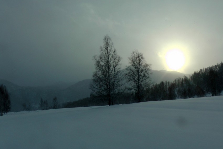 пасмурный снежный день