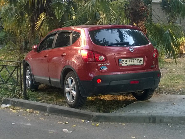 олень из ЛНР