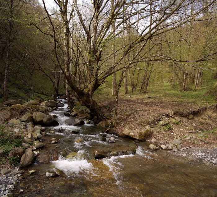 Весенний горный ручей возле Красной Поляны