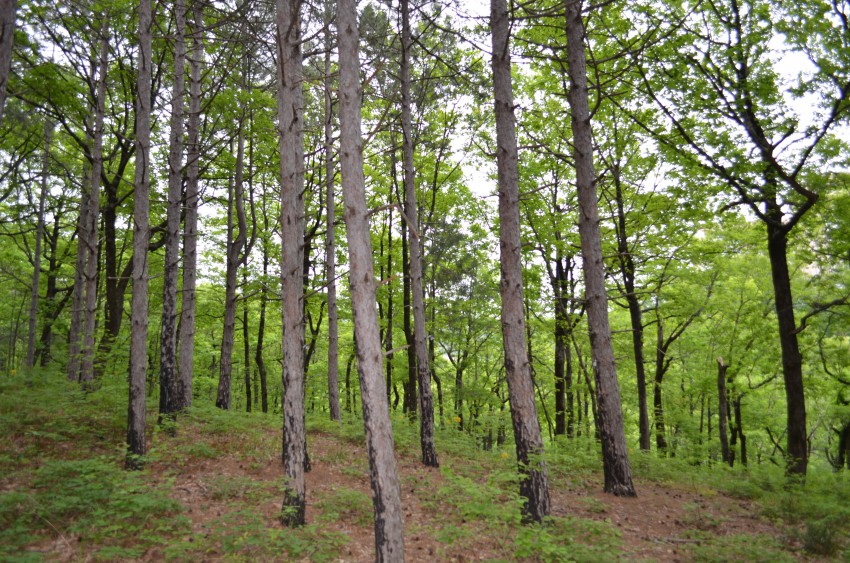 потом еще с=чуток по горам и вуаля...