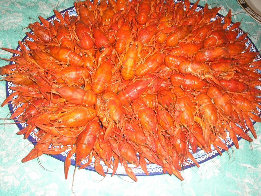 ВОТ ЭТО ВКУСНЯШКИ!!!