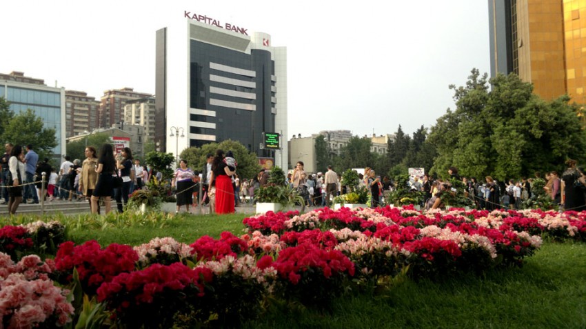Baku in Flowers