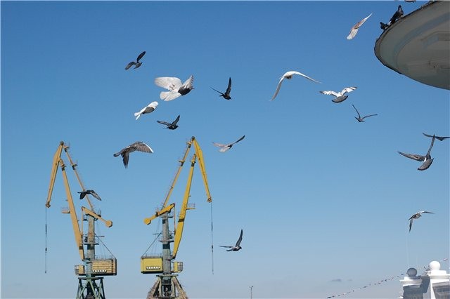 Ну тада и моих пара "копеек"...