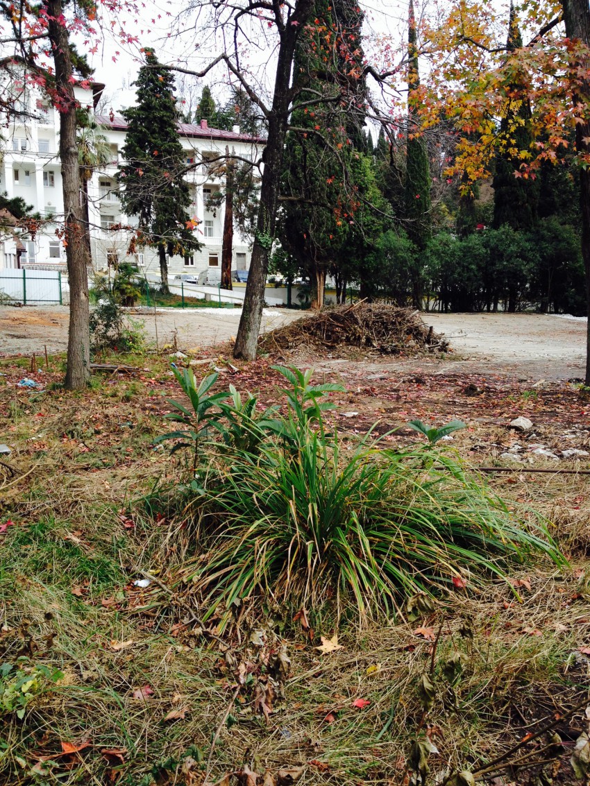 Снесен летний театр в Хостинском парке