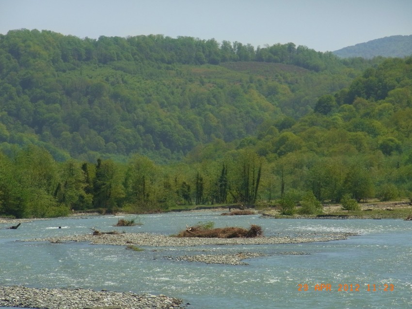 Комплекс шахе