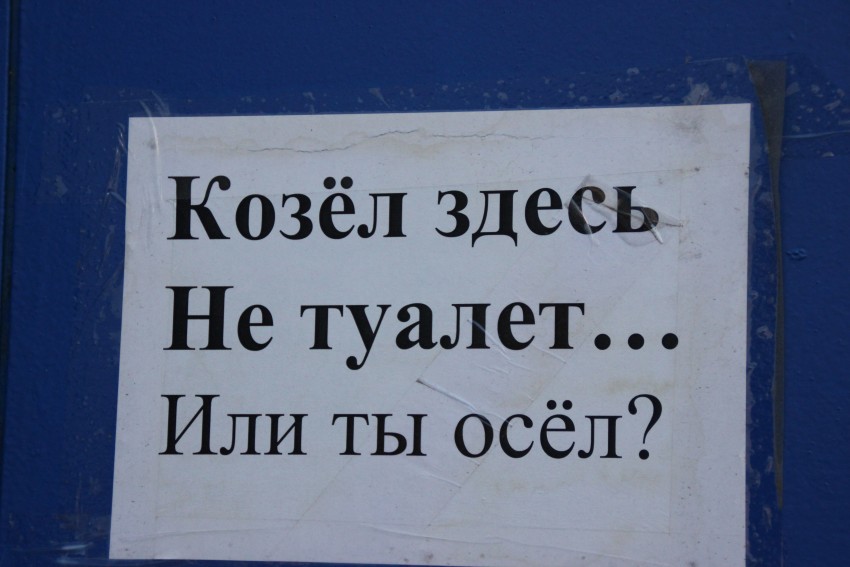 Тебе здесь не место. Здесь туалета нет. Здесь не туалет. Туалета нет табличка. Плакат здесь не туалет.