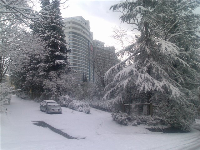 Заснеженная Бытха