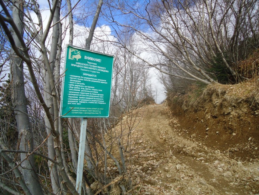 Надпись на щите Кавказского заповедника: Деревья рубить запрещается