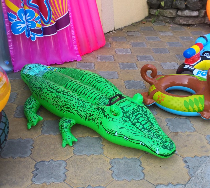 Какой крокодил зеленый