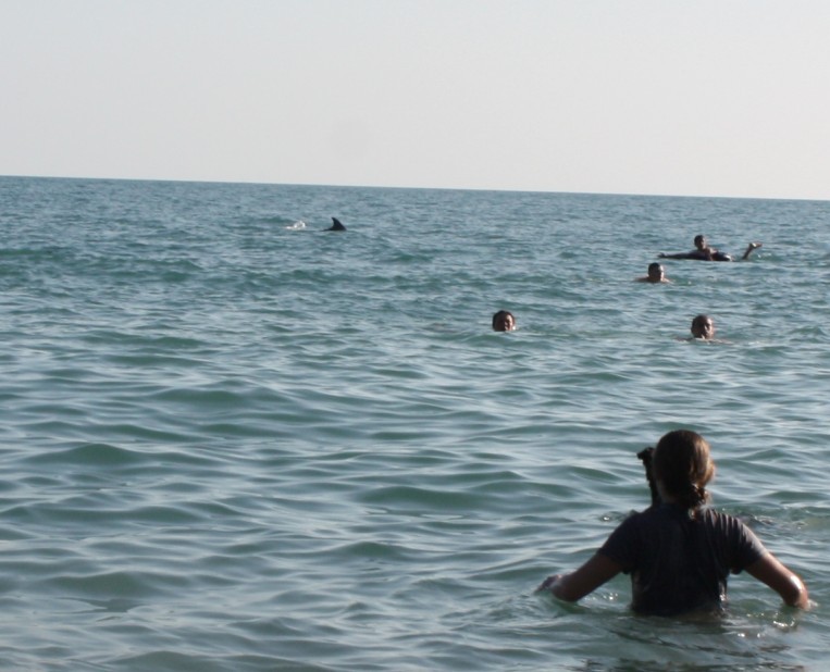 Черное море купания