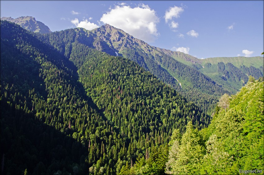 Авадхара абхазия фото