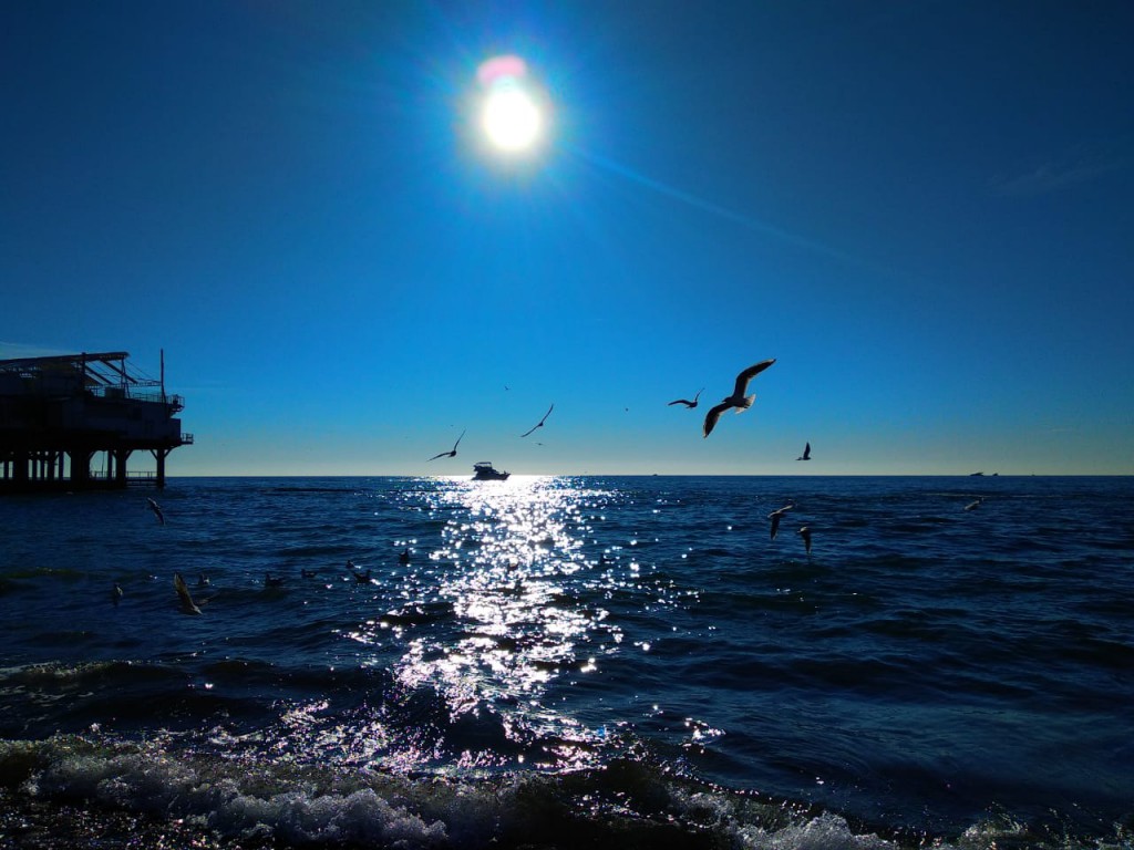 Море солнце Чайки. Вижу море. Чайки на лодке. Лодка Чайка в Сочи.