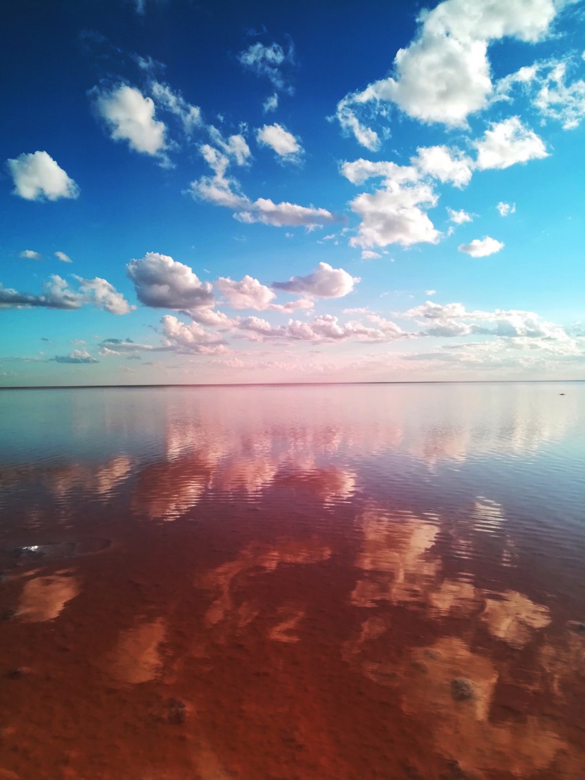 Розовое озеро в волгоградской области