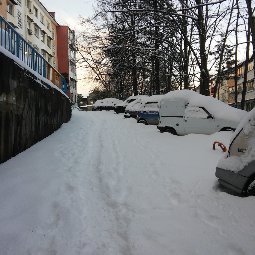 А вот так выглядит центр города Сочи, ул. Тоннельная. Фото сделано 31.01.2017г.