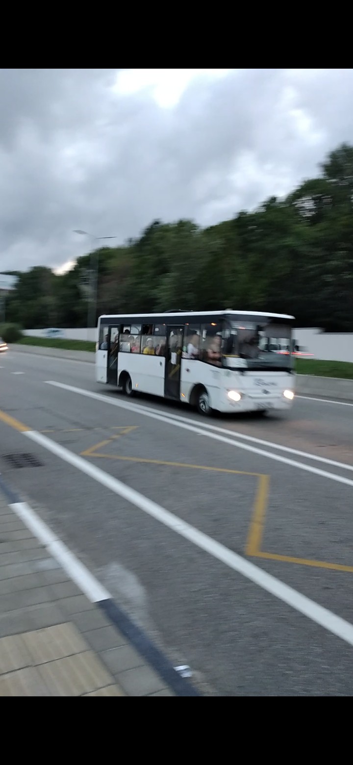 Остановка дендрарий сочи какие автобусы