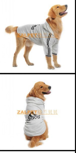 Одежда для собак большой выбор