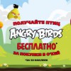 Отдам 44 птичьи наклейки Angry Birds