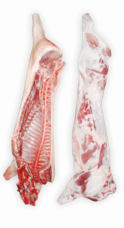 Группа Компаний осуществляет поставку продуктов питания по Красн