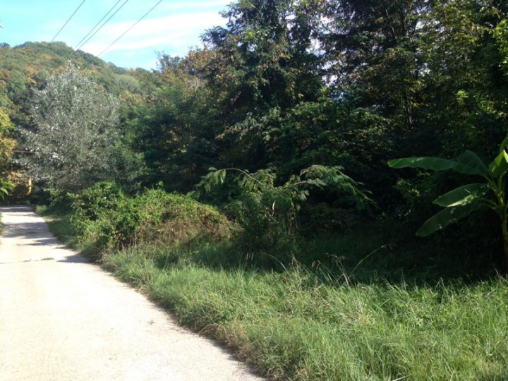 Продаю з/у на Мацесте