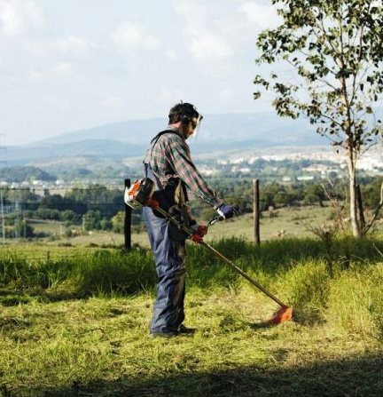 Расчистка участков