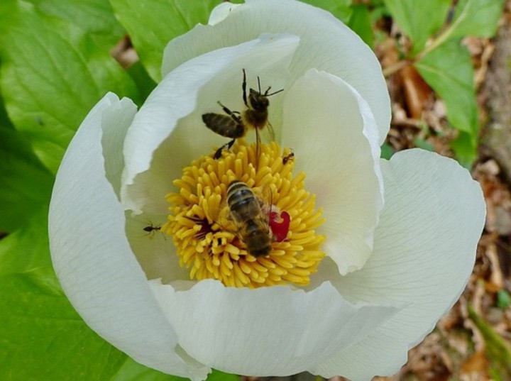 Комплекс бань