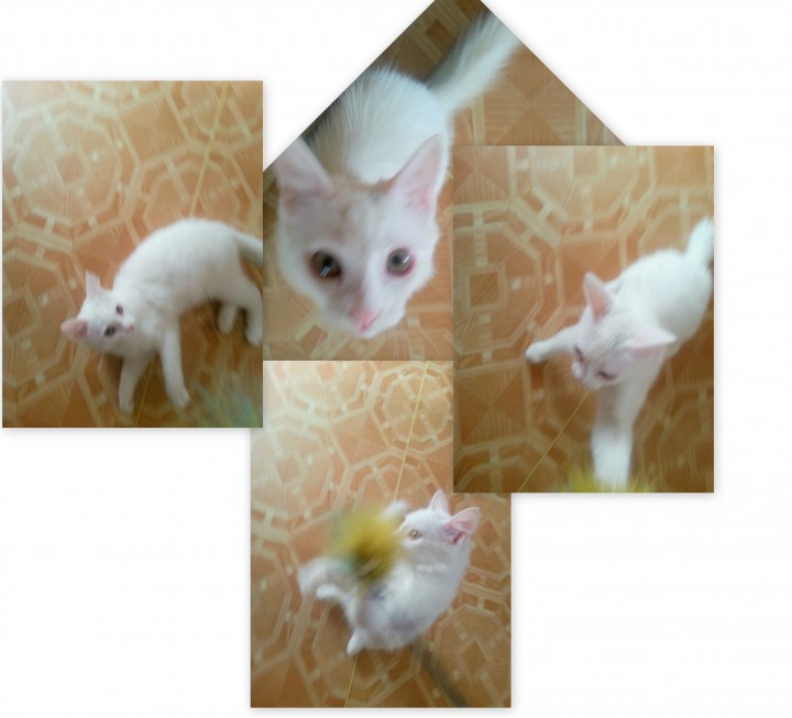 В добрые руки.