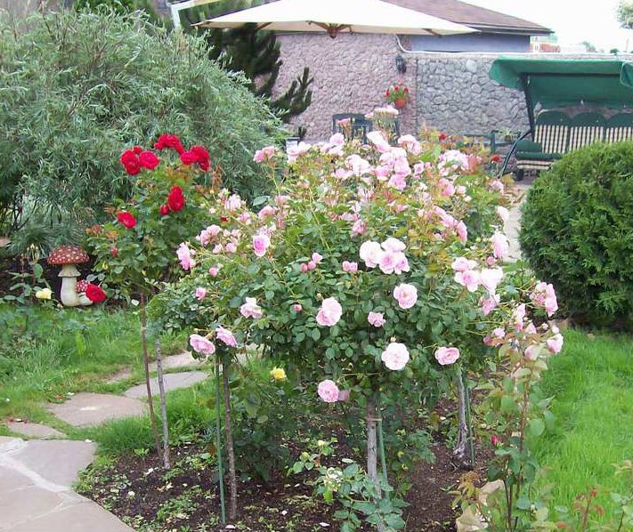 продам дачу