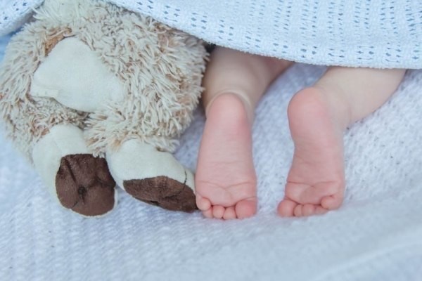 приму в дар детское питание