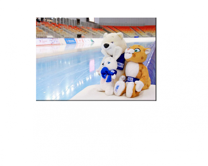 Билеты на соревнования, шорт трек на 10.02.