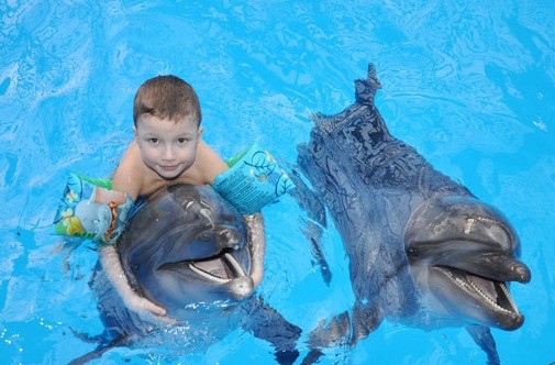 Юный тренер дельфинов