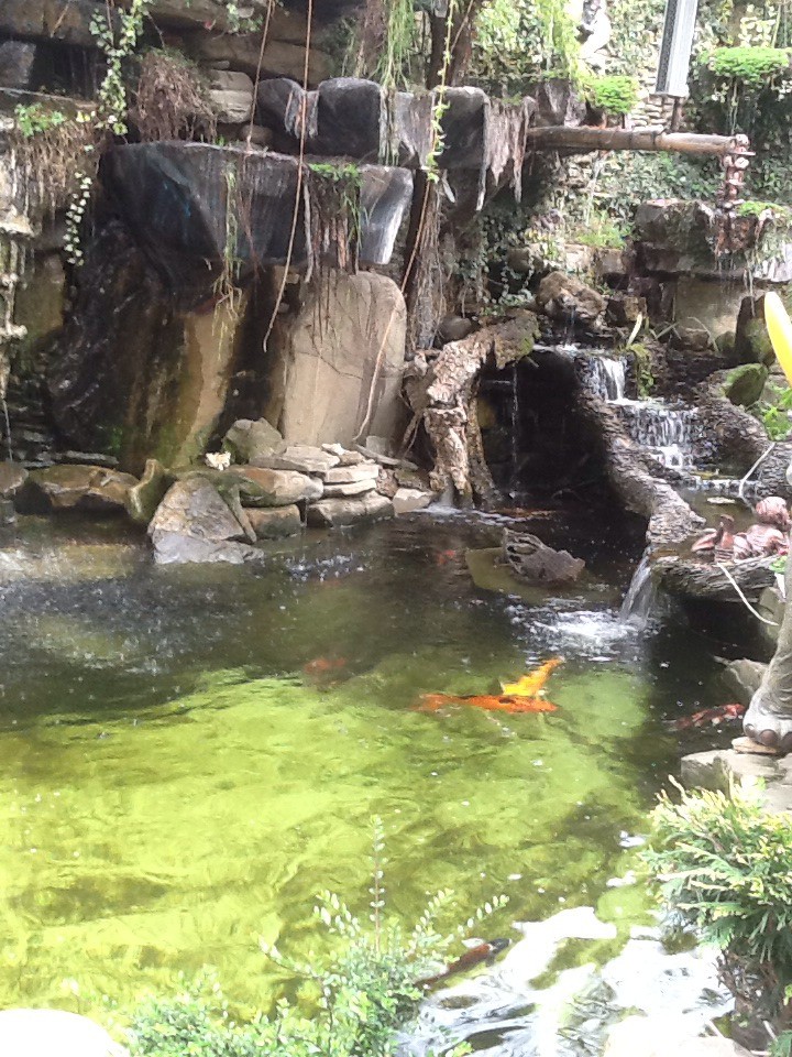 Фитнес для ваших детей. 1 бесплатная тренировка. Жми!