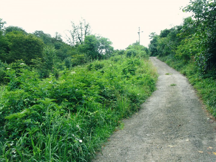 Участок 6 сот. (СНТ, днп)