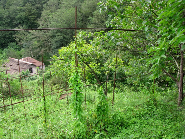 Участок 6 сот. (СНТ, днп)