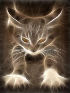 Нашлась кошка трёхцветная