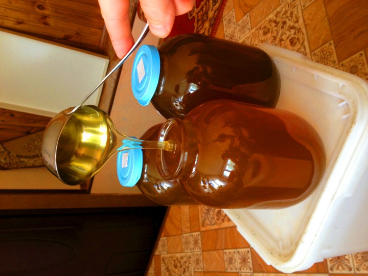Натуральный каштановый мёд Сочи 2017.