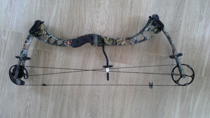 Лук блочный