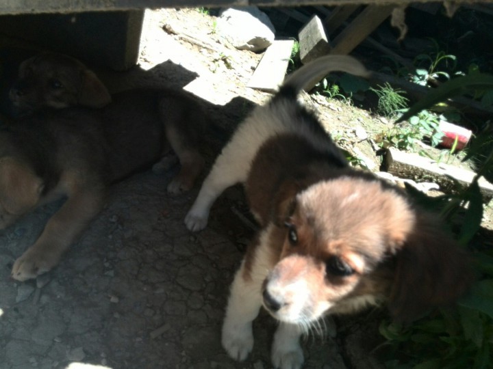 Мы очень хотим домой!!!