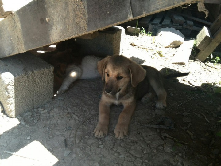 Мы очень хотим домой!!!