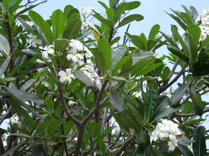 Потеряны документы