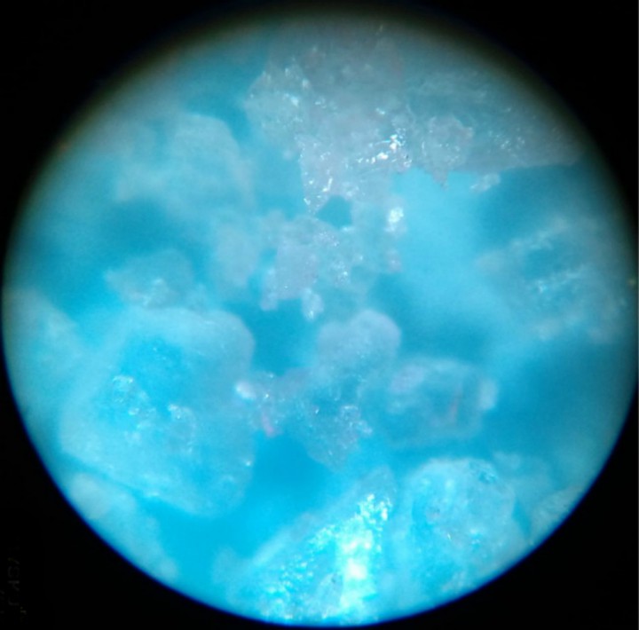 Микроскоп портативный 60x100x