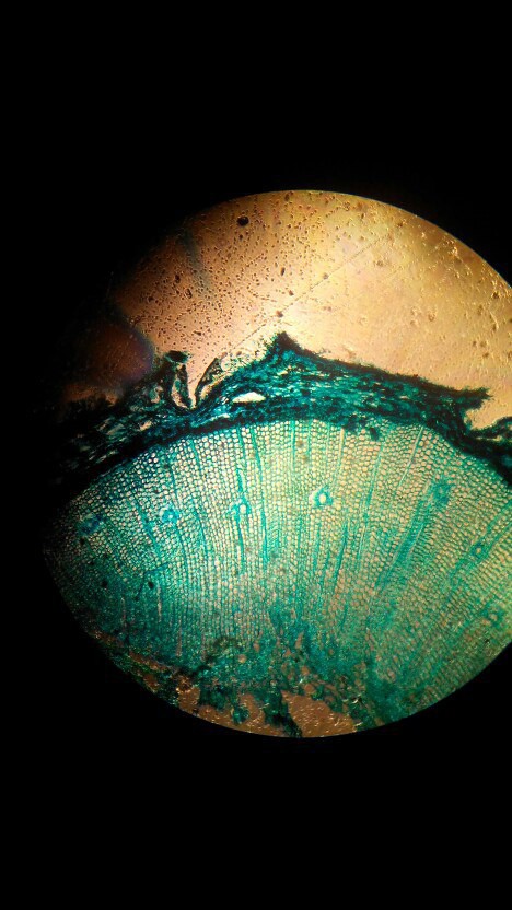Микроскоп 70х - 400х