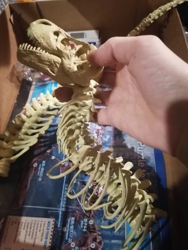 Скелет динозавра модель-конструктор 70см