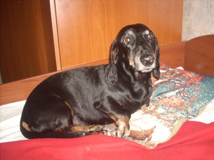 ПРОПАЛА ТАКСА