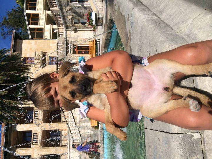 Чудесный щенок