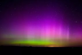 требуется секретарь