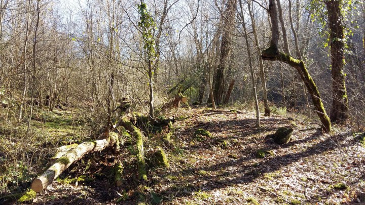 Земля в Кудепсте 300 т.р. 
