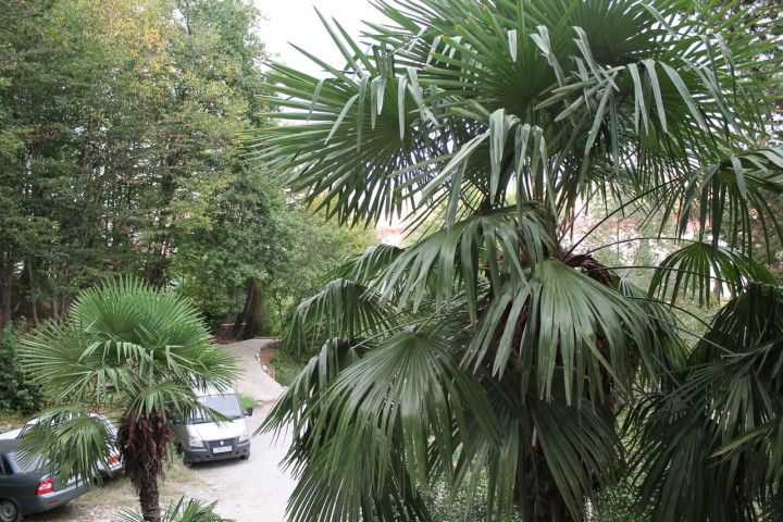 Комната в общежитии