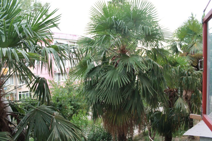 Комната в общежитии