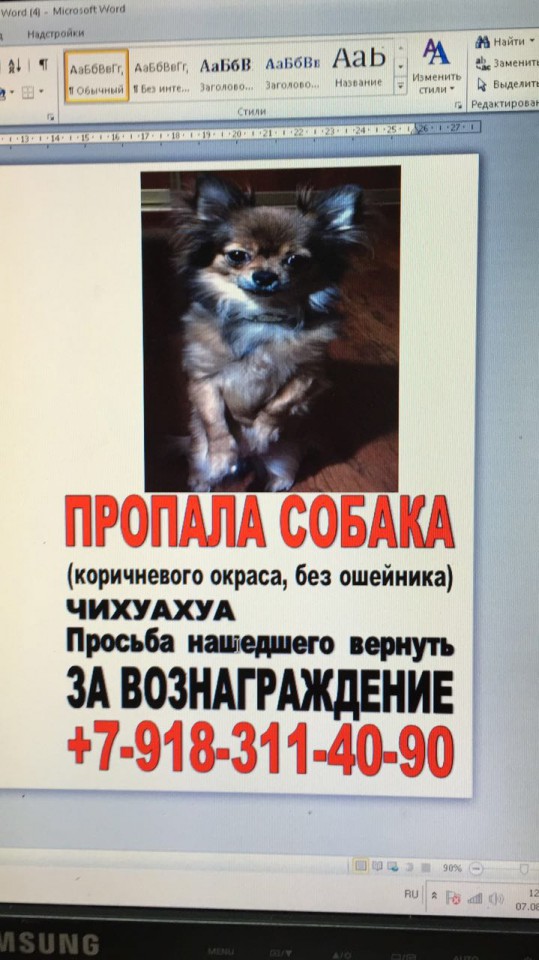 Пропала Собака